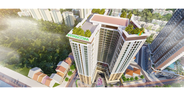 Intracom của Shark Việt bị "điểm tên" trong danh sách chậm đóng bảo hiểm