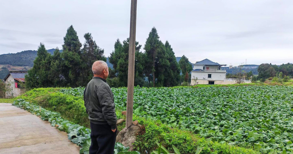 Cầm 8 tỷ về quê dưỡng già, 1 năm sau người đàn ông ôm mặt khóc: “Tôi thực sự hối hận rồi”