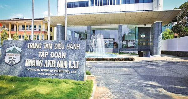 HAGL chuyển đổi 300 tỷ đồng nợ thành vốn góp tại Hưng Thắng Lợi Gia Lai