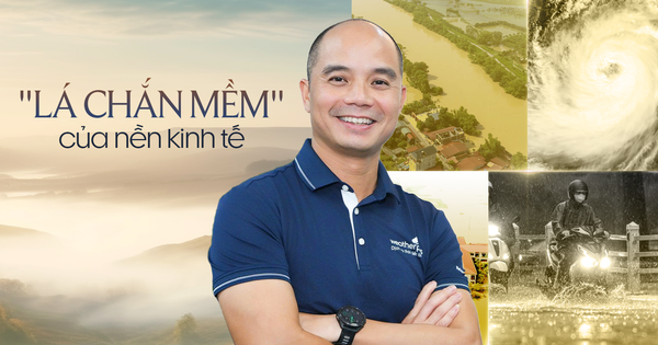 Nền kinh tế thiệt hại hàng chục nghìn tỷ mỗi năm vì bão lũ, một DN Việt dùng dữ liệu và công nghệ "bắt mạch ông trời"