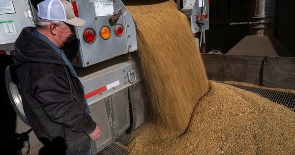 Ăn miếng trả miếng, Mỹ lại đe dọa ngừng nhập khẩu dầu ăn để trừng phạt Trung Quốc, căng thẳng thương mại có nguy cơ bùng phát trở lại