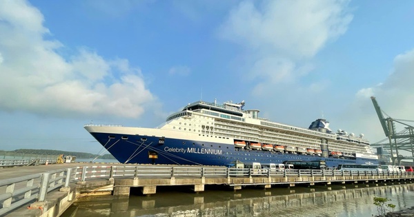 Doanh nghiệp "ngồi trên lửa" khi cảng ở TP HCM ngưng đón khách du lịch tàu biển