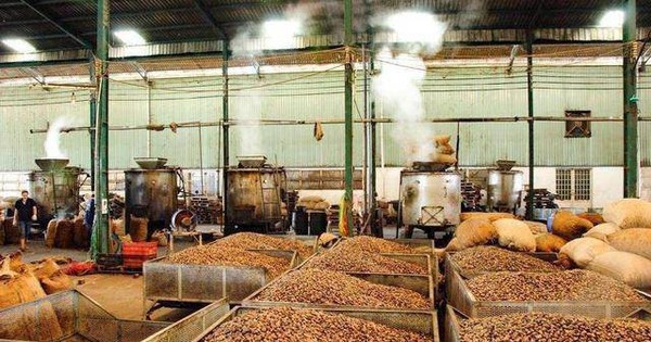 'Sản vật trời ban' giúp Việt Nam xuất khẩu bỏ xa thế giới: Được người Trung Quốc thừa nhận 'ăn đứt' hàng nội, thu về hàng tỷ USD từ đầu năm