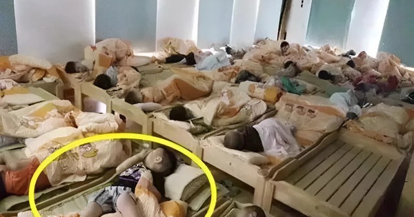 Giáo viên gửi ảnh học sinh ngủ trưa vào nhóm chung, phụ huynh xem xong tức giận đùng đùng: "Tôi đóng tiền để chăm sóc kiểu này à?"