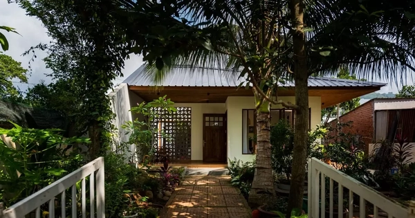 Thiết kế ngôi nhà 80m2 đầy ắp 'ký ức' con gái tặng mẹ