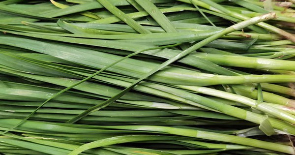 5 loại rau dễ "ngậm thuốc trừ sâu" nhất chợ, dân buôn né xa