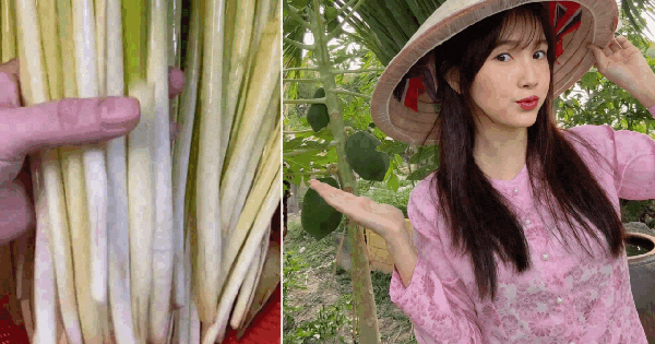 Rau mọc bờ bụi giờ thành đặc sản miền Tây: Giá đắt hơn thịt, 120.000 đồng/kg vẫn nườm nượp người mua