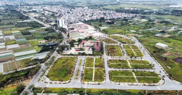 m.cafef.vn