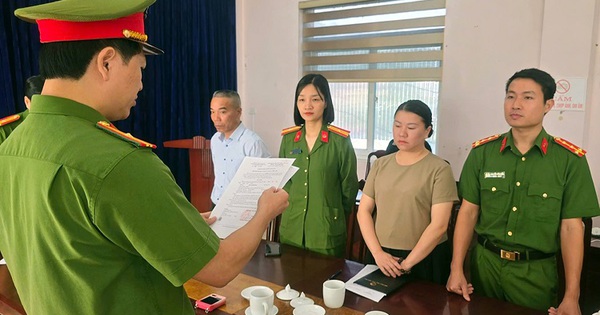 Bắt tạm giam, khám xét nơi ở của nữ công chức Đinh Thị Diệu Hoa