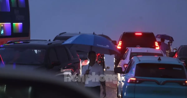 Hàng nghìn người đội mưa, ôtô nối đuôi tới lễ cưới Hoa hậu Đỗ Thị Hà và doanh nhân Viết Vương