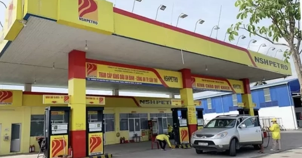 Công ty dầu khí Nam Sông Hậu: Giám đốc bị bắt, cổ phiếu lao đao