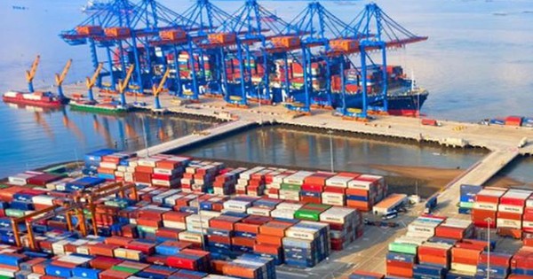 Cổ phiếu công ty sở hữu đội tàu container lớn nhất Việt Nam bất ngờ tăng "dựng đứng" trước thềm họp ĐHCĐ bất thường