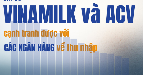 Chỉ Vinamilk và ACV trả lương bình quân trên 30 triệu/tháng, cạnh tranh với Ngân hàng, công ty nào có thu nhập 70,5 triệu/tháng?