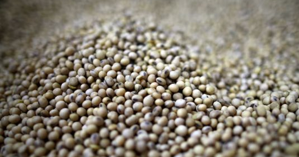 Mất khách Trung Quốc, Mỹ lập tức có cứu tinh mới cho mặt hàng chiến lược: Nhu cầu gần 4 triệu tấn mỗi năm, sản lượng nội địa rất thấp