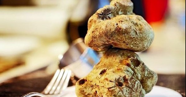 Đặc sản tiền tỷ thế giới, Việt Nam cũng có phiên bản bản địa thơm nồng, giá chỉ bằng khoảng 1/10.000