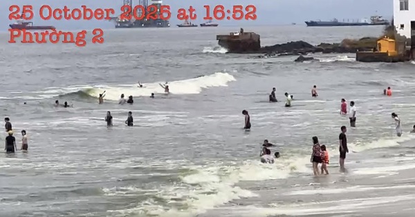 Thông tin lan truyền nước biển Vũng Tàu có màu xanh lá cây: Cơ quan chức năng lên tiếng