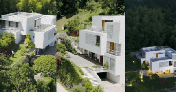 Chàng trai "bỏ phố về quê" xây "viện dưỡng lão" rộng 760m2: Cha mẹ được chăm sóc mỗi ngày, con được chữa lành mỗi đêm