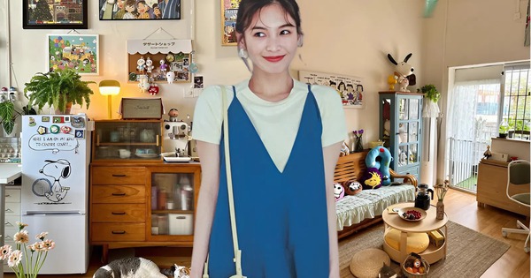 Cô gái 25 tuổi biến phòng trọ 20m² cũ kỹ thành tổ ấm khiến dân mạng sửng sốt: “Đúng là người yêu đời thì ở đâu cũng hạnh phúc!”