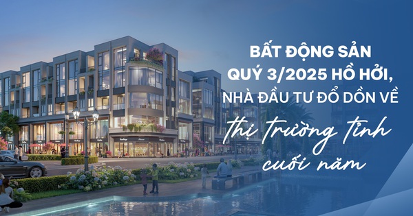 BHS R&D: Bất động sản quý 3 hồ hởi, nhà đầu tư đổ dồn về thị trường tỉnh cuối năm