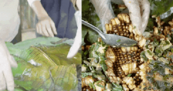 Hơn 9 triệu người vào xem món đặc sản núi rừng béo ngậy này, nhưng không biết có bao nhiêu người dám thử?