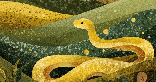 Tuổi Tỵ làm gì để quý nhân “tự tìm đến gõ cửa”: Đọc xong áp dụng ngay, vận may bùng nổ