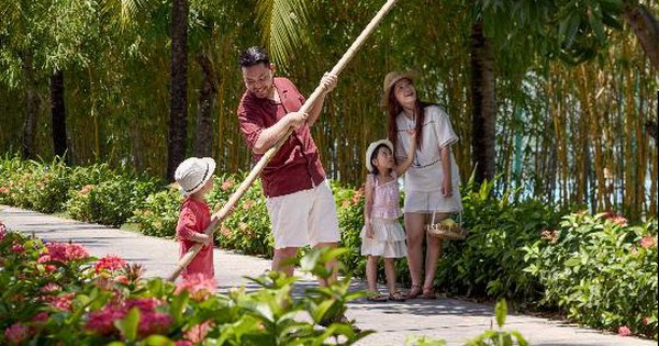 Ốc đảo xoài giữa lòng Đà Nẵng – Kỳ nghỉ gia đình đầy cảm hứng cuối năm