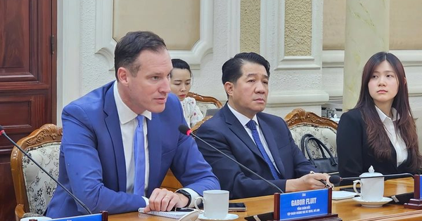 Chi hàng trăm triệu USD thâu tóm các nhà máy từ CJ và Masan, 1 tập đoàn Hà Lan lên kế hoạch dịch chuyển trụ sở chính châu Á về TP.HCM