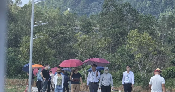 Dựng dự án "ảo" phân lô bán nền, doanh nghiệp bị phạt hơn nửa tỷ đồng