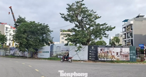 "Choáng" với giá chung cư ở tỉnh lẻ "nhảy múa" lên đến 80 triệu đồng/m2