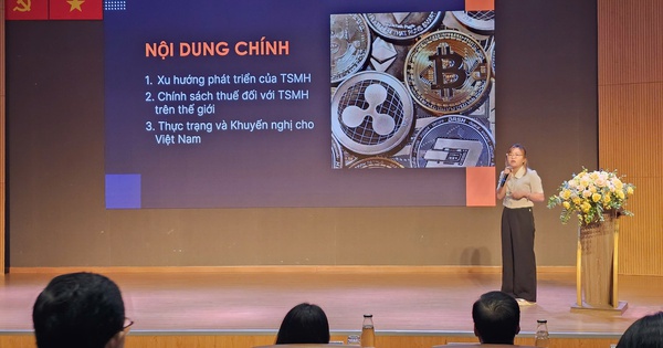 Chuyên gia nói về lùm xùm liên quan dự án Antex của Shark Bình