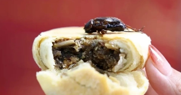 Người Trung Quốc ăn bánh trung thu nhân dế: "Kịch tính trong từng miếng ăn"