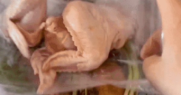 Vợ đảm miền Tây đi chợ hết 90 nghìn/ngày cho gia đình 4 người ăn 2 bữa, mỗi tháng hết 2,7 triệu tiền ăn mà chẳng ai tin nổi