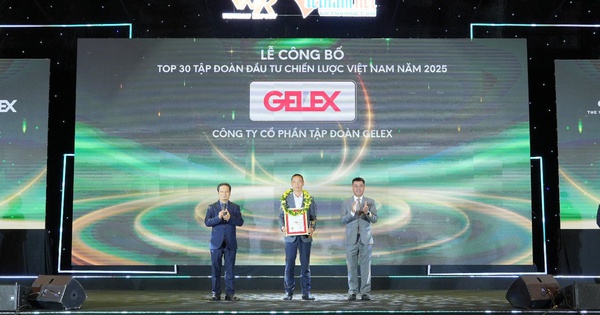GELEX vào Top 30 Tập đoàn Đầu tư Chiến lược Việt Nam năm 2025