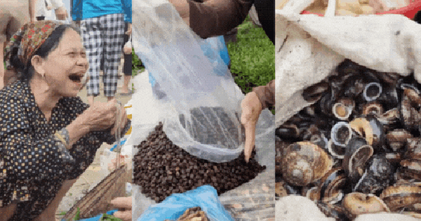 Nông sản độc lạ ở chợ phiên vùng cao: Không chỉ có măng khô, cua đá, đuông cọ... mà còn có cả "vàng đen" Tây Bắc