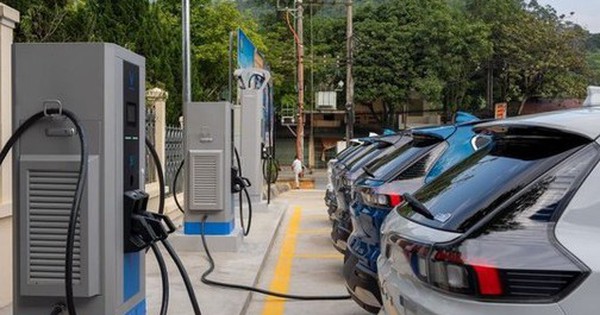 "Đại gia" Nhà nước bắt tay Vingroup phát triển hệ thống trạm sạc xe điện báo lãi quý 3/2025 vượt 1.000 tỷ, cao nhất 4 năm