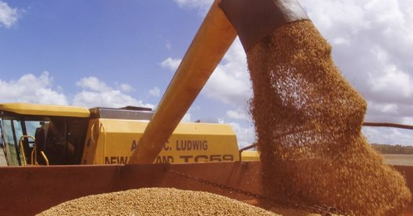 Trung Quốc dừng nhập khẩu đậu tương, nông dân Mỹ vẫn trúng lớn do ồ ạt trồng loại nông sản thay thế: Đã ký hợp đồng xuất khẩu 20 triệu tấn, nhu cầu tăng mạnh tại Đông Nam Á