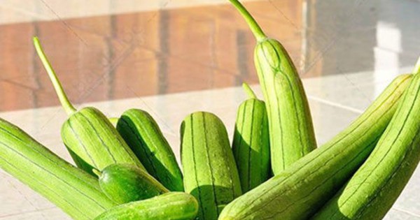 Tháng 9, 10 đi chợ, nhớ tìm mua 5 loại rau theo mùa này: Vừa rẻ, vừa ít thuốc trừ sâu, cả nhà yên tâm ăn