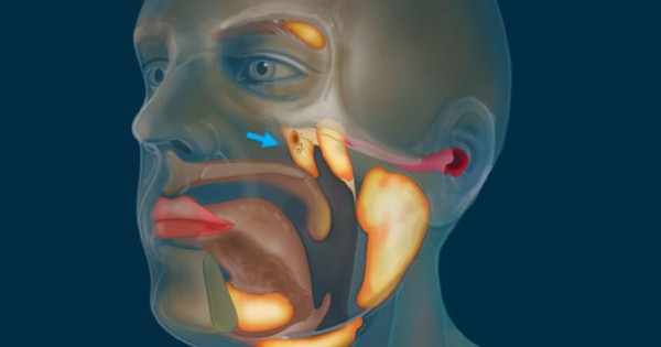 Phát hiện cơ quan mới “ẩn mình” suốt hàng thế kỷ trong thân người, giới khoa học sững sờ vì lý do khó tin