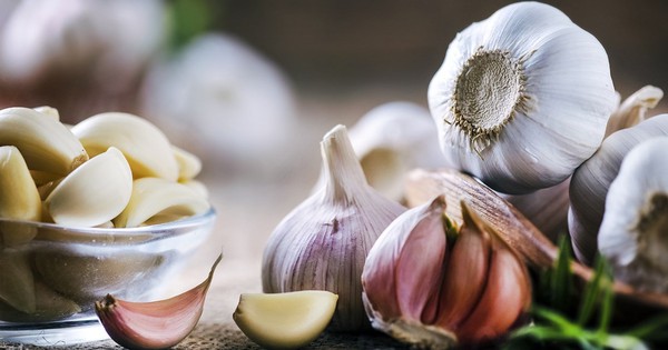 Viện Ung thư Mỹ công bố loại gia vị được xem là “lá chắn” phòng ngừa ung thư, giảm kích thước của khối u tới 50%