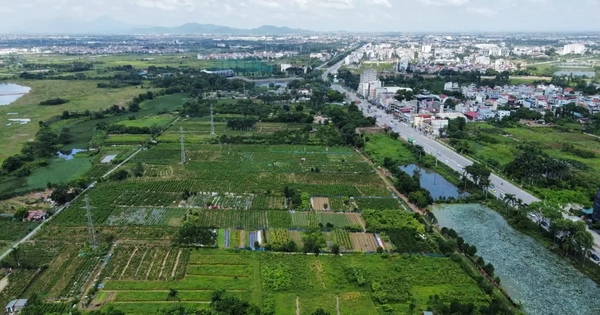 m.cafef.vn