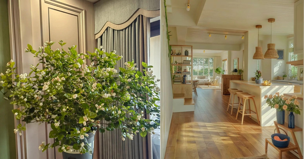 5 dấu hiệu cho thấy bạn đang sống trên mảnh đất vàng: Đừng bán kẻo cả đời ôm tiếc hận