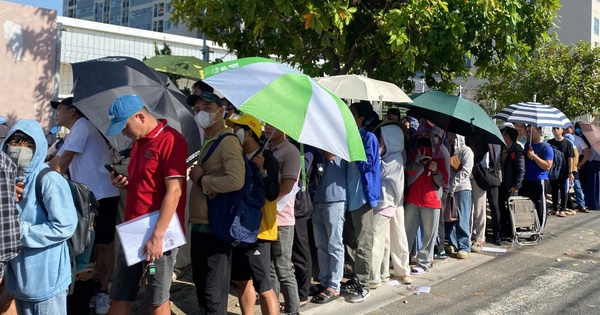 Đà Nẵng: Người dân xếp hàng từ tờ mờ sáng nộp hồ sơ mua nhà ở xã hội