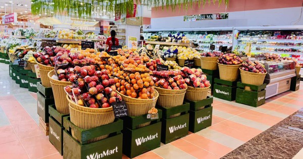 Masan dự báo hoàn thành 90% kế hoạch lợi nhuận năm