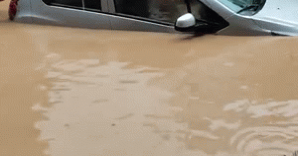 Ô tô bị dòng nước lũ cuốn, tài xế hoảng loạn không thể thoát ra ngoài: Clip giải cứu căng thẳng