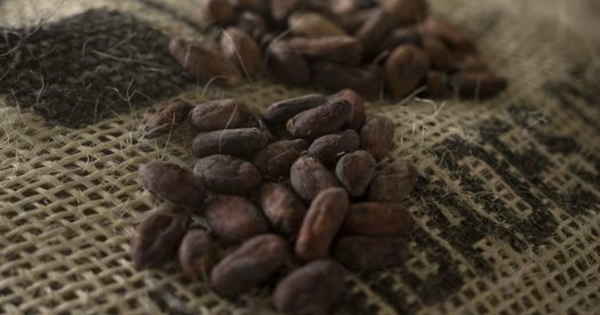 Sốt giá suốt 2 năm liên tiếp, giá loại hạt được gọi là 'thức ăn của các vị thần' bất ngờ rơi xuống thấp nhất 20 tháng - chuyện gì đang xảy ra?