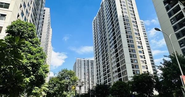 Kiến trúc sư 18 năm kinh nghiệm tiết lộ: 3 kiểu căn hộ này là "vàng ròng", càng ở càng sướng, bán lại lời gấp đôi