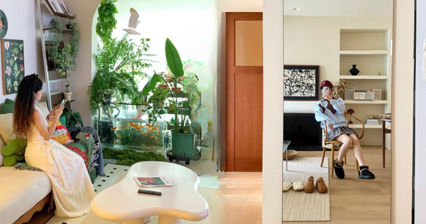 Bày đúng vài món này trong nhà: Vượng khí kéo tới, tiền tự chảy vào túi