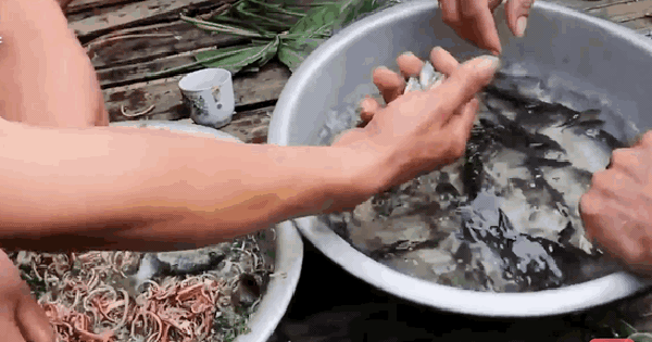 5 món Việt khiến khách Tây sợ "xanh mặt", dân sành ăn lại coi là đặc sản quý