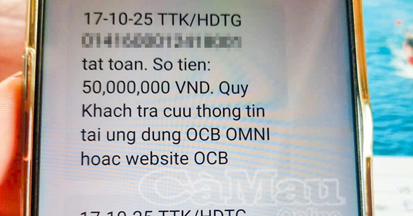 Đang thực hiện xác minh khuôn mặt và CCCD, ngân hàng bất ngờ gửi cảnh báo khẩn: Người đàn ông vội rút sim, tắt wifi nhưng tài khoản đã bị trừ 350 triệu đồng