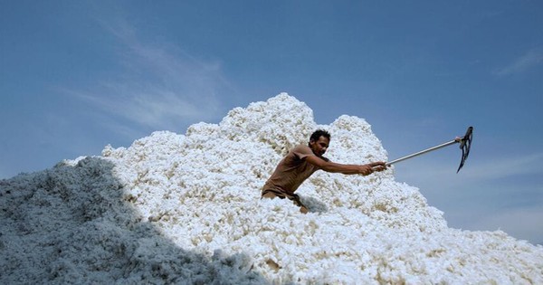 Xuất khẩu sang Trung Quốc trượt dốc 90%, Mỹ tăng mạnh đưa một mặt hàng vào Việt Nam với giá cực rẻ, nước ta tiêu thụ đứng thứ 3 thế giới